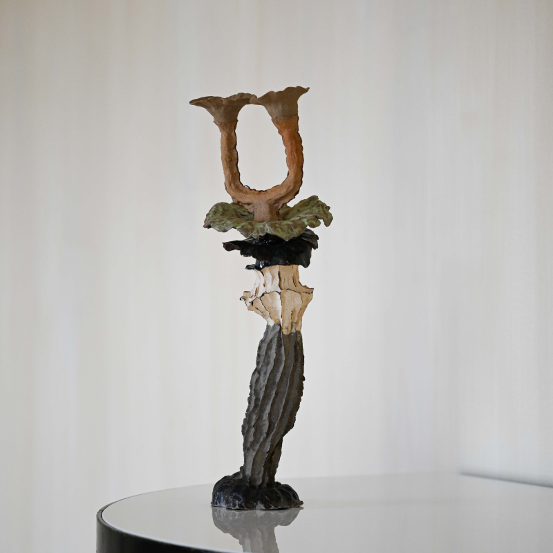 Lumière 1