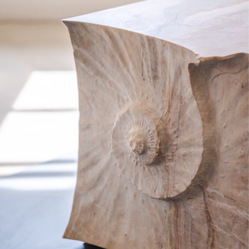 Ammonite Cube