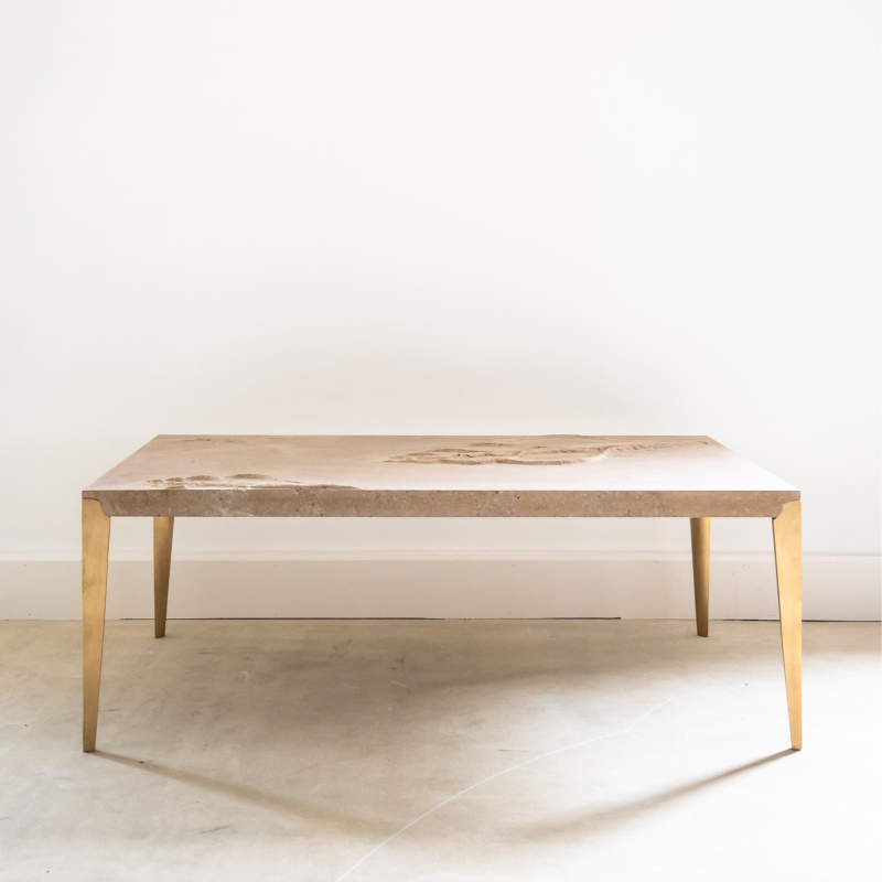 Fossil coffee table