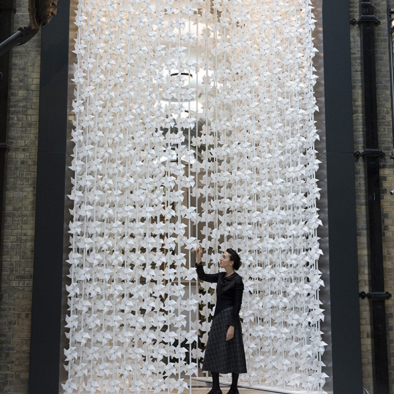 بوابة الريح