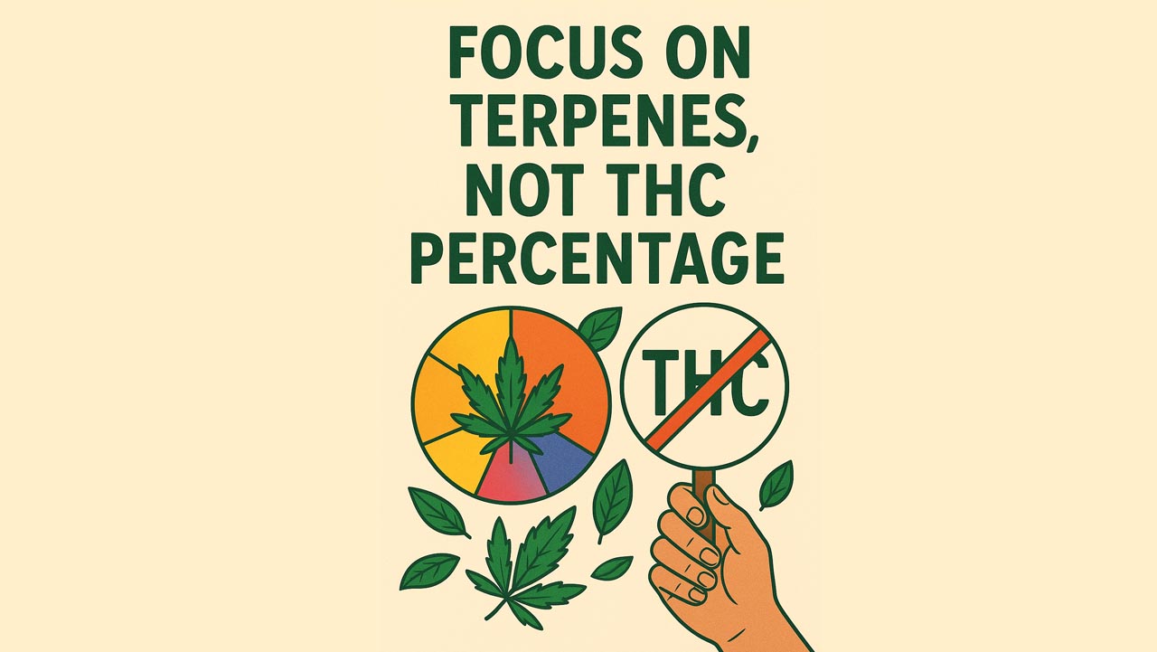 Why Zaza Factory Encourages Consumers to Focus on Terpenes, Not THC Percentage