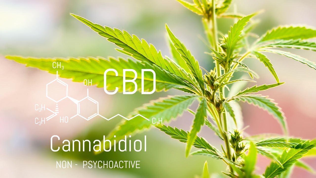 CBD 101 — What You Need to Know: Benefits, Risks & How to Use Responsibly